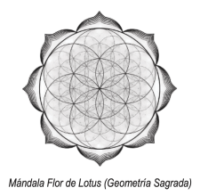 Lotus Flower Mandala (Sacred Geometry)