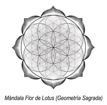 Lotus Flower Mandala (Sacred Geometry)