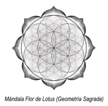 Lotus Flower Mandala (Sacred Geometry)